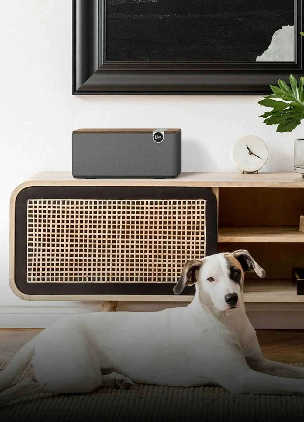 Klipsch-The-One-Plus-perro-sala-interior